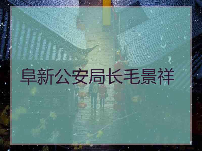 阜新公安局长毛景祥