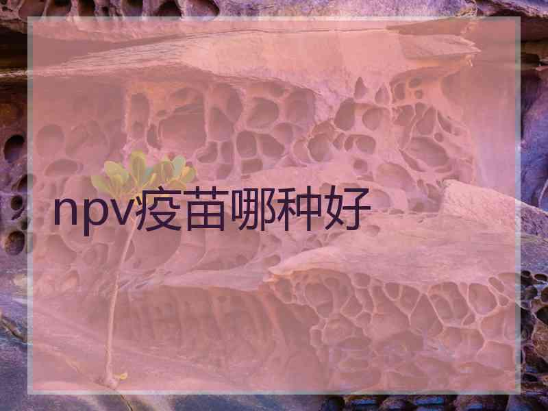 npv疫苗哪种好