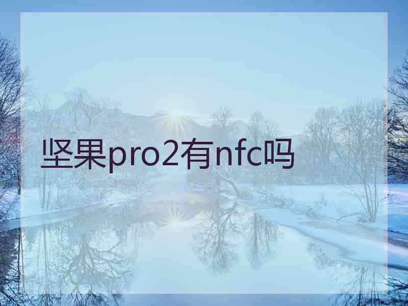 坚果pro2有nfc吗