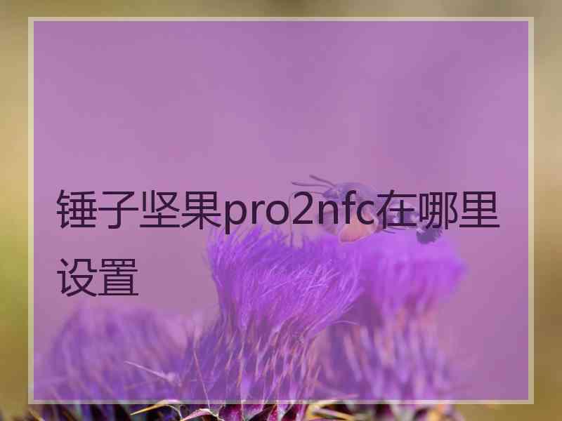锤子坚果pro2nfc在哪里设置