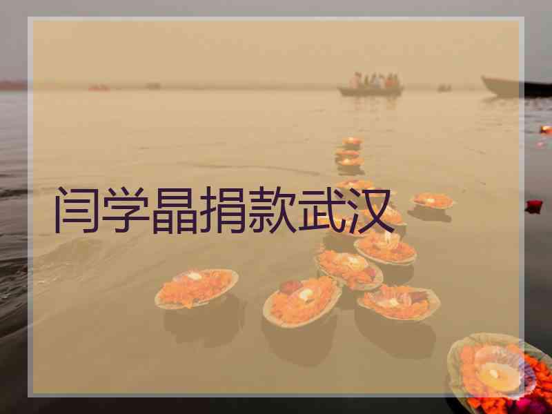 闫学晶捐款武汉