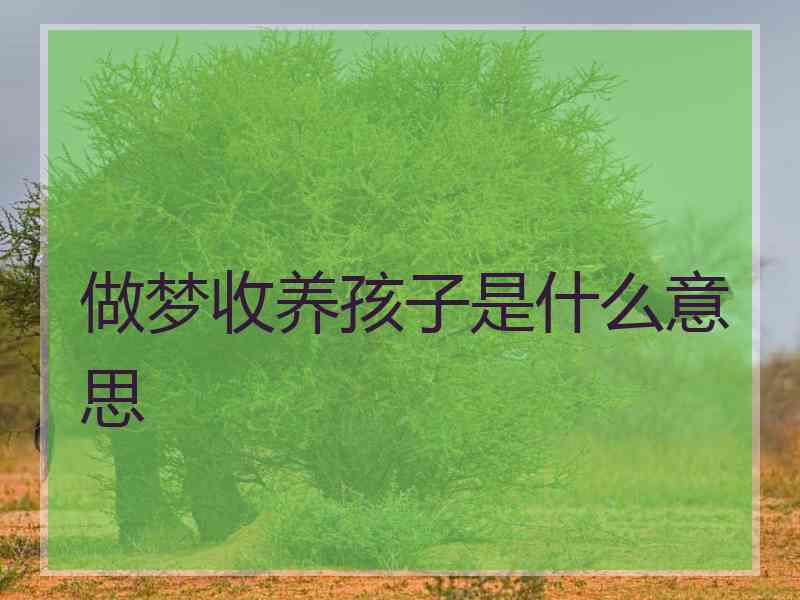 做梦收养孩子是什么意思