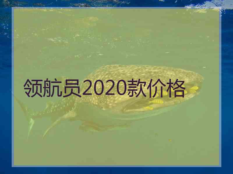 领航员2020款价格