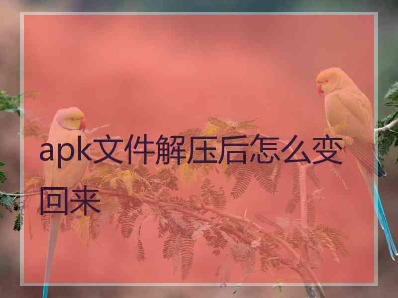 apk文件解压后怎么变回来