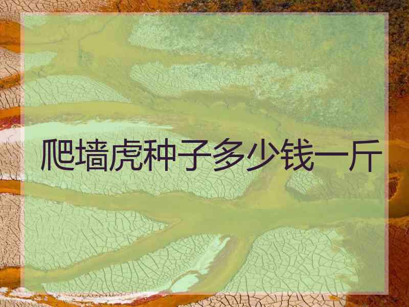 爬墙虎种子多少钱一斤