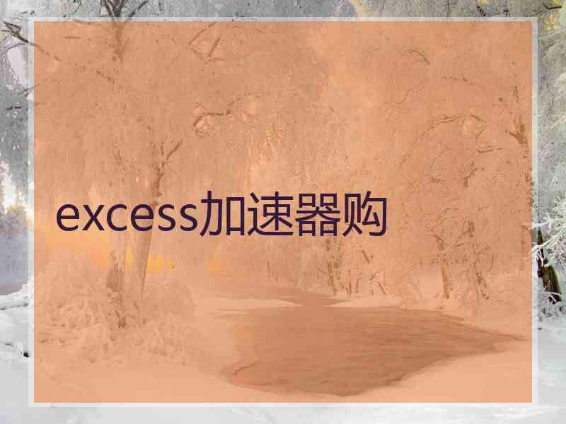 excess加速器购