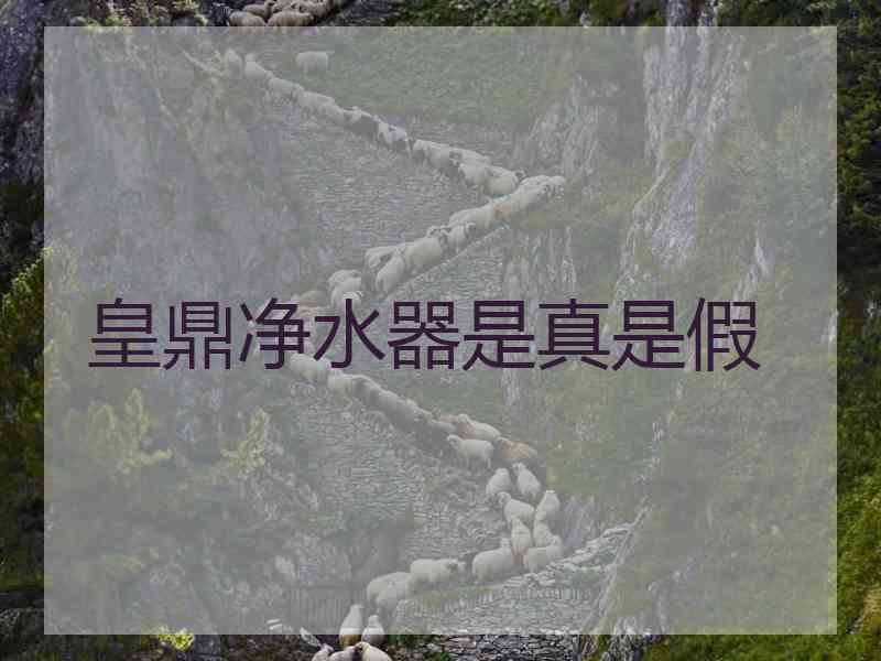 皇鼎净水器是真是假