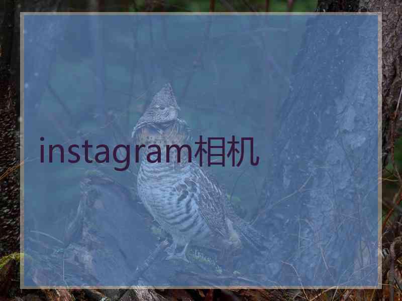 instagram相机