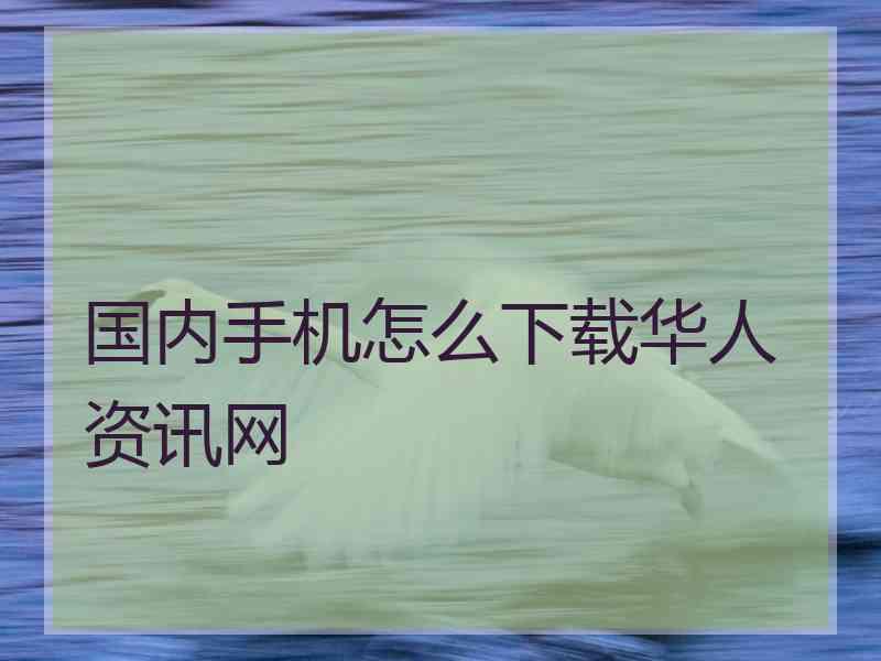 国内手机怎么下载华人资讯网