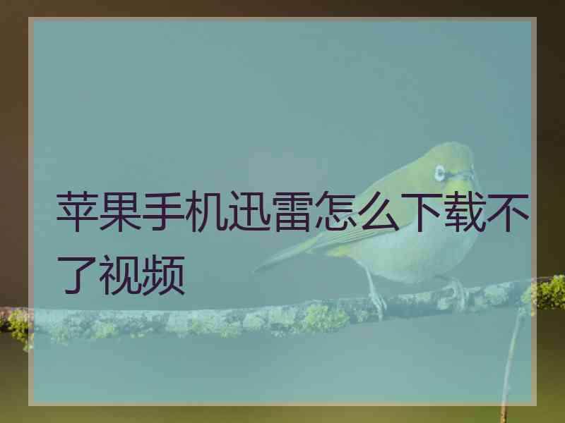 苹果手机迅雷怎么下载不了视频