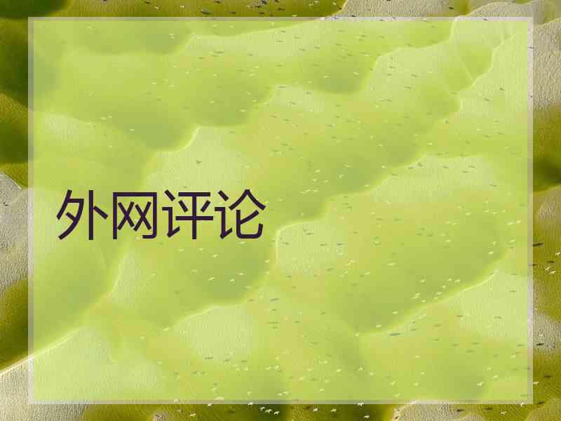 外网评论