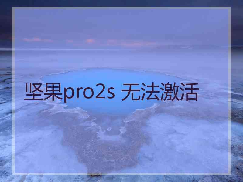 坚果pro2s 无法激活