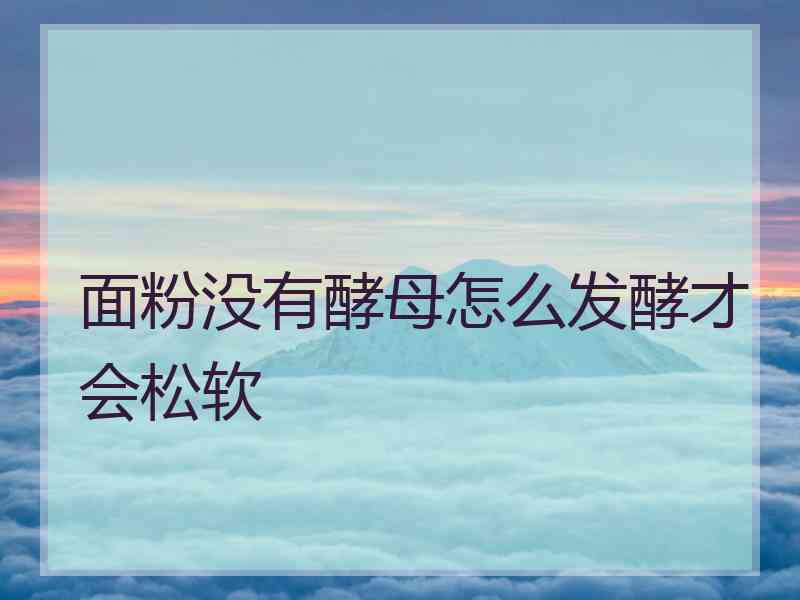 面粉没有酵母怎么发酵才会松软