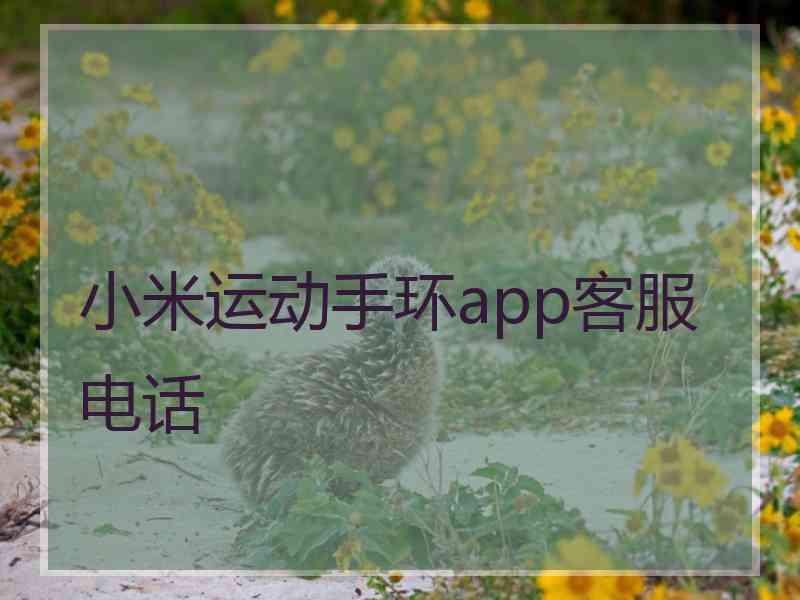 小米运动手环app客服电话
