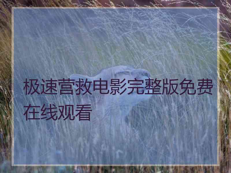 极速营救电影完整版免费在线观看