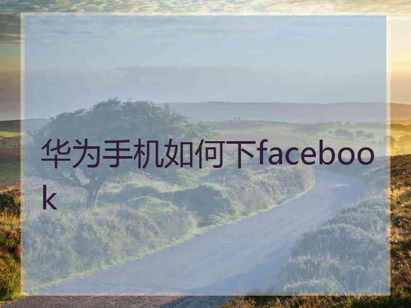 华为手机如何下facebook