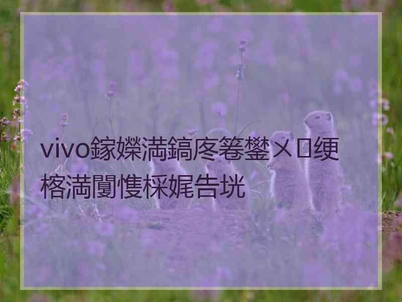 vivo鎵嬫満鎬庝箞鐢ㄨ绠楁満闅愯棌娓告垙