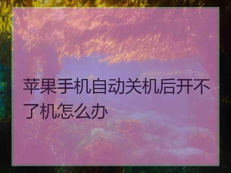 苹果手机自动关机后开不了机怎么办