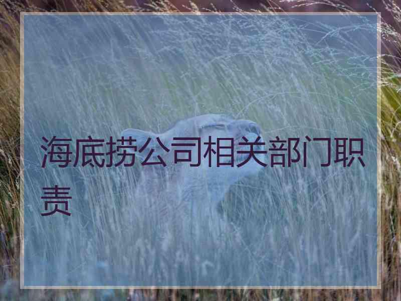 海底捞公司相关部门职责