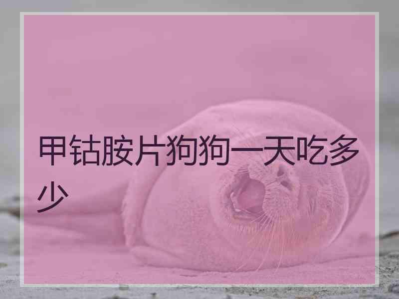甲钴胺片狗狗一天吃多少