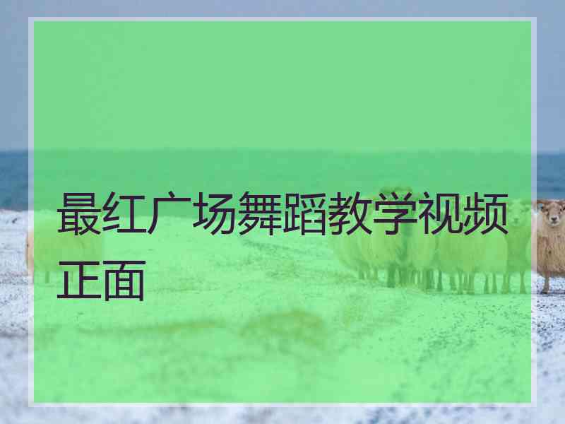 最红广场舞蹈教学视频正面