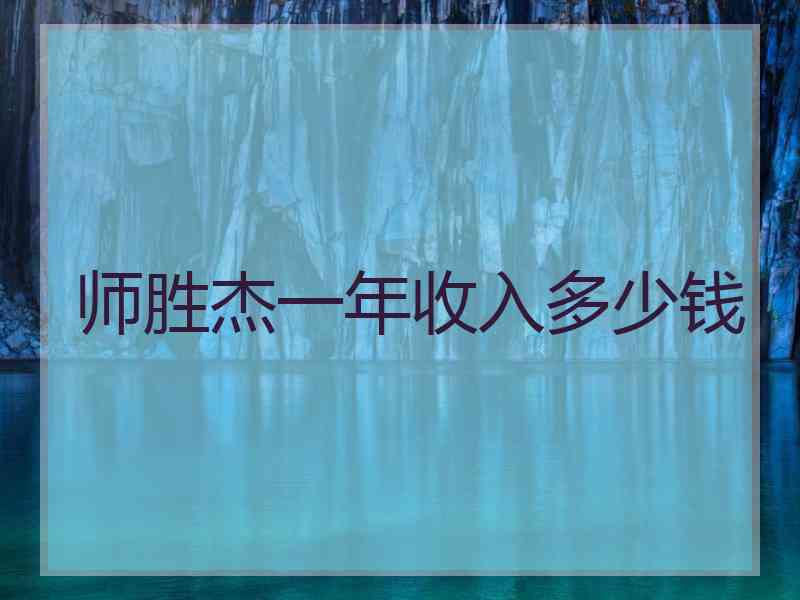 师胜杰一年收入多少钱