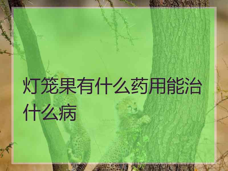 灯笼果有什么药用能治什么病