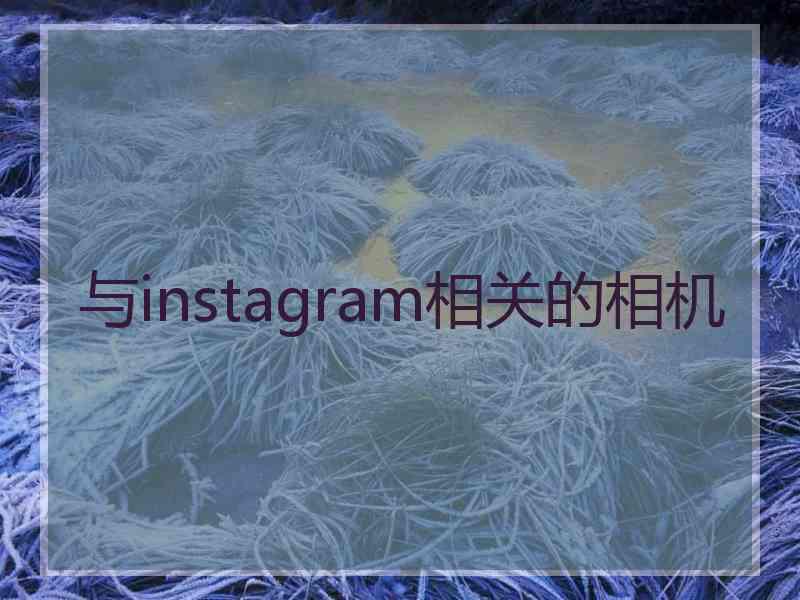 与instagram相关的相机