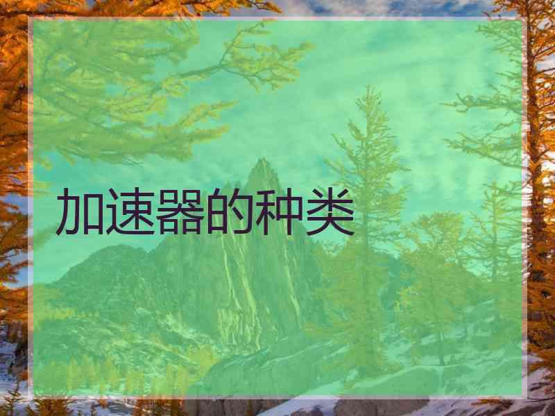 加速器的种类