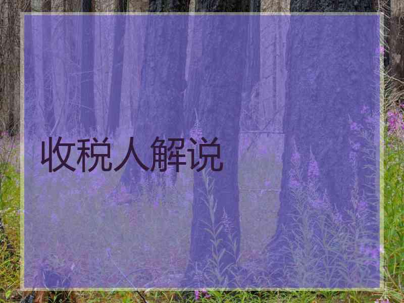 收税人解说