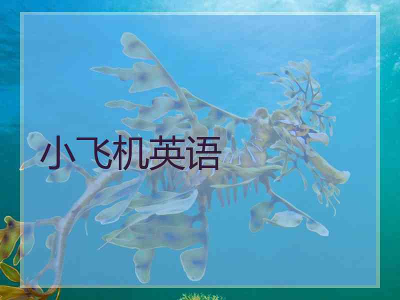 小飞机英语