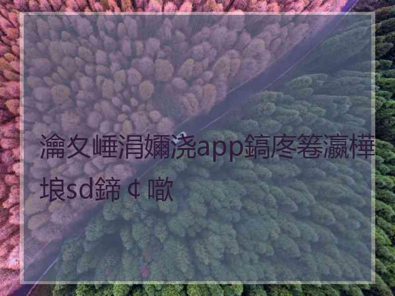 瀹夊崜涓嬭浇app鎬庝箞瀛樺埌sd鍗￠噷