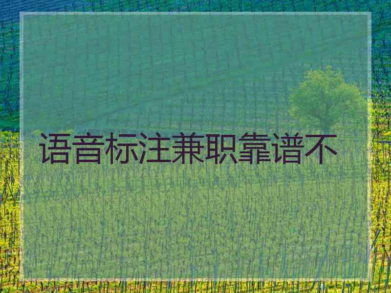 语音标注兼职靠谱不