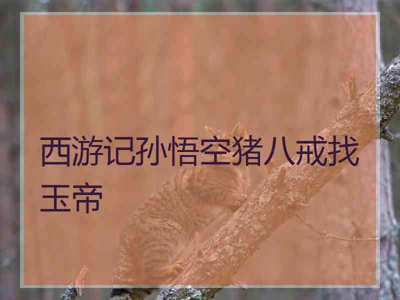 西游记孙悟空猪八戒找玉帝