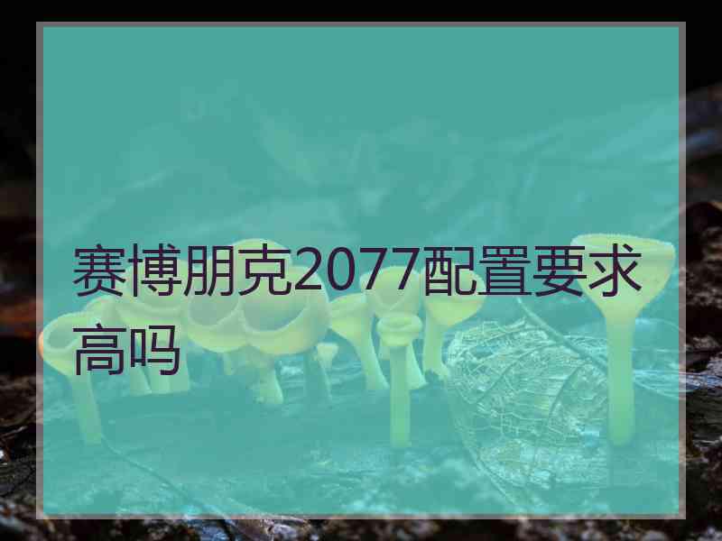 赛博朋克2077配置要求高吗