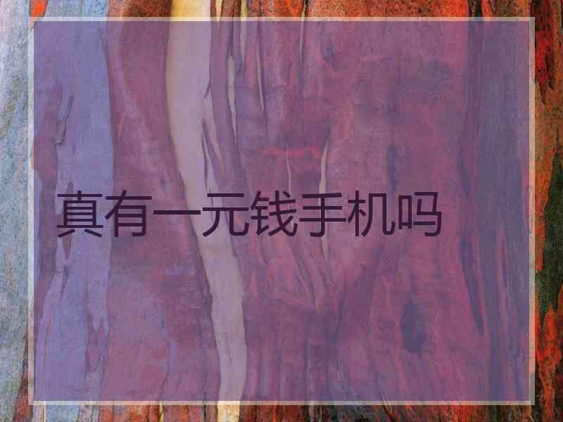 真有一元钱手机吗