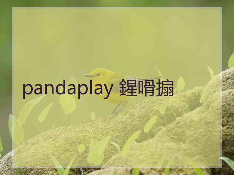 pandaplay 鍟嗗搧