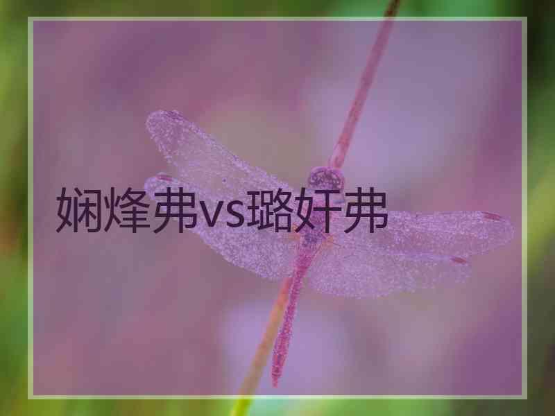 娴烽弗vs璐奸弗