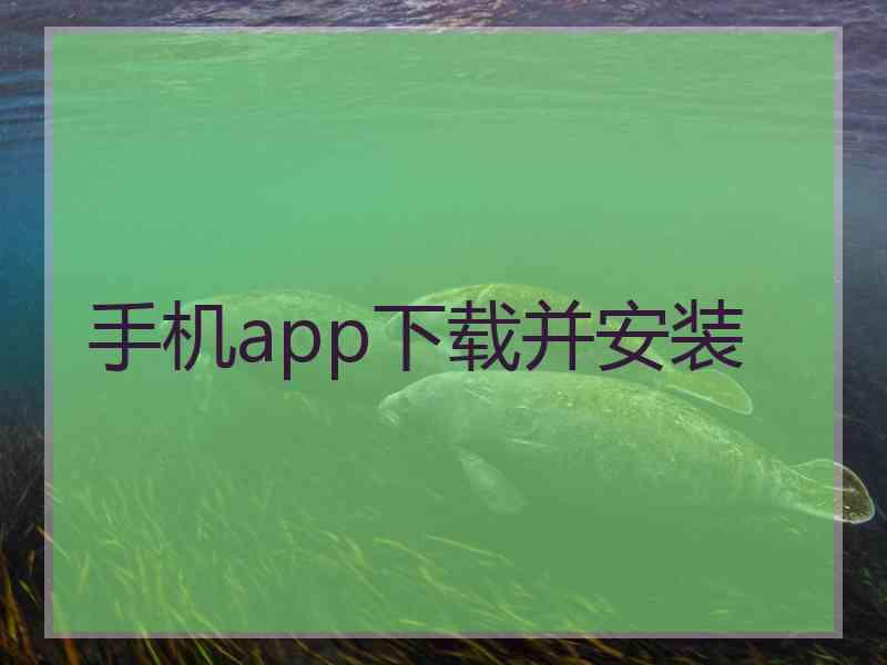手机app下载并安装