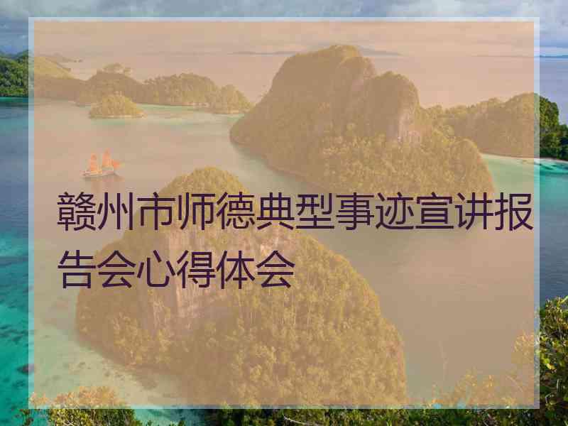 赣州市师德典型事迹宣讲报告会心得体会