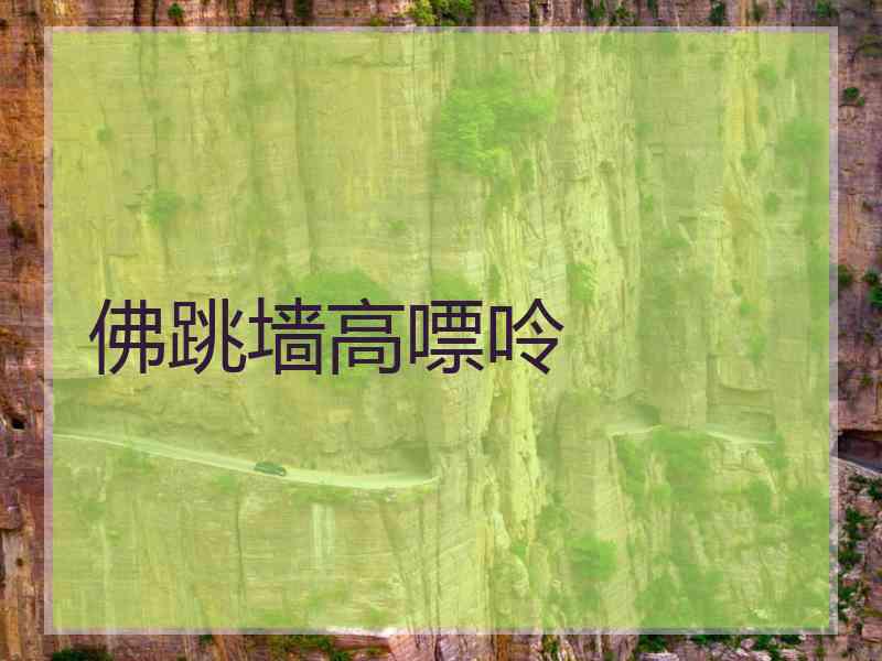 佛跳墙高嘌呤