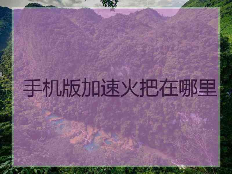 手机版加速火把在哪里