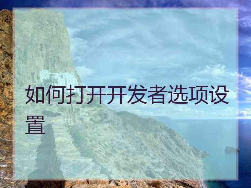 如何打开开发者选项设置