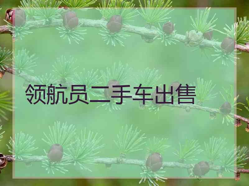 领航员二手车出售