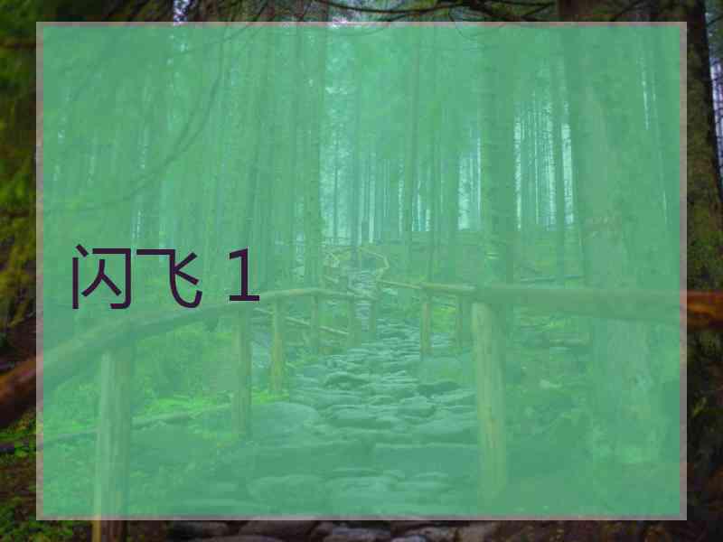 闪飞 1