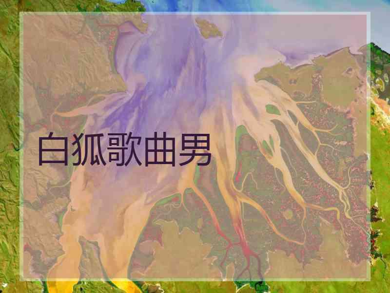 白狐歌曲男