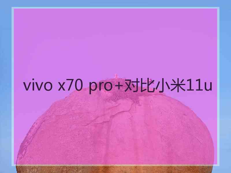 vivo x70 pro+对比小米11u
