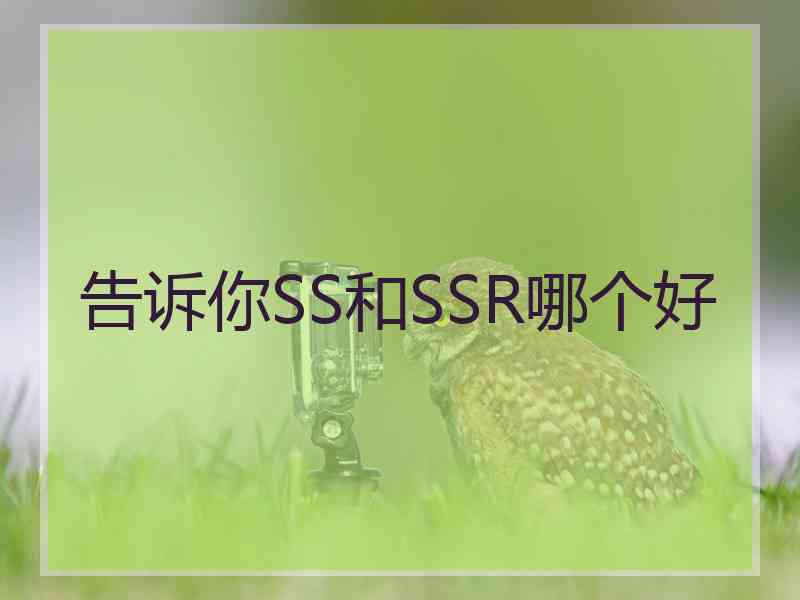 告诉你SS和SSR哪个好