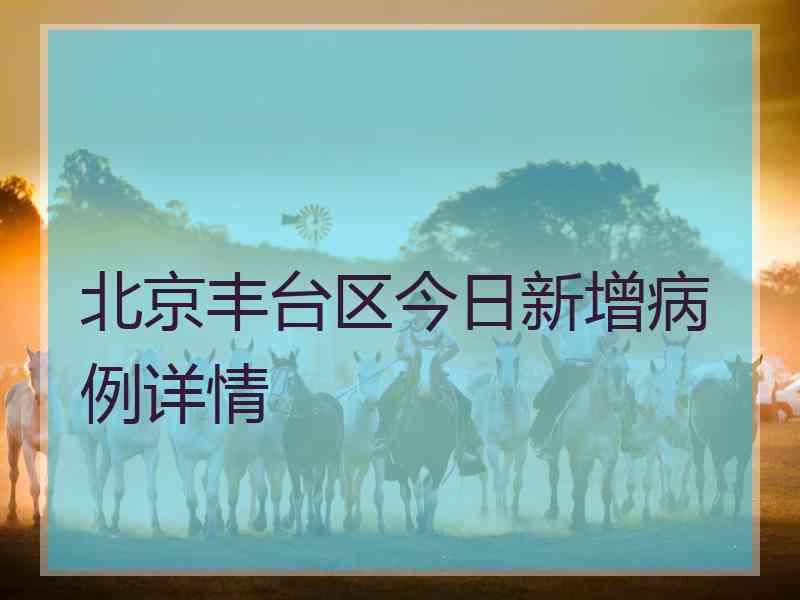 北京丰台区今日新增病例详情