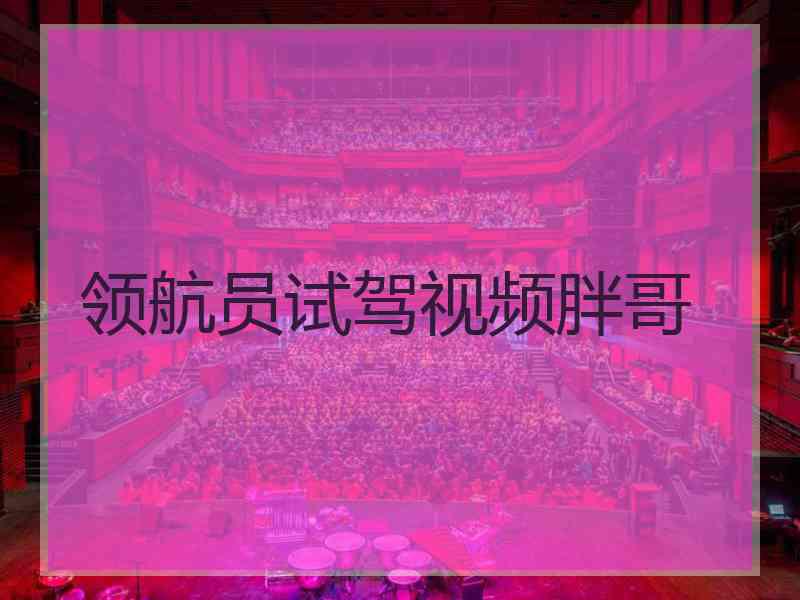 领航员试驾视频胖哥